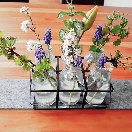 Wiedhoehen Ferienwohnung Roßbach Eksteriør billede